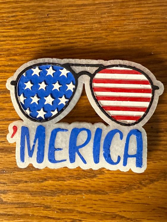 America with patriotic sunglasses (26)
