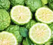 Bergamot