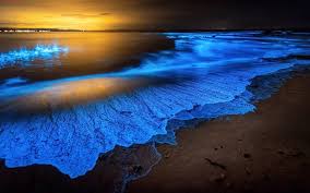 Blue Tide