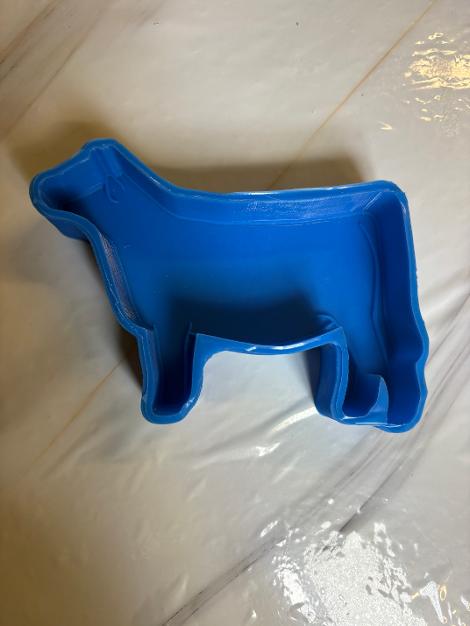 Show Cow (56)
