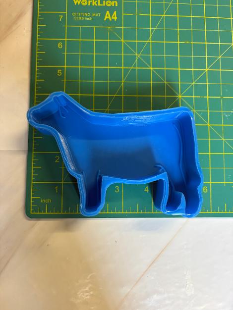 Show Cow (56)
