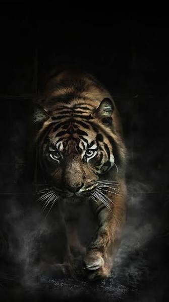 Dangerous