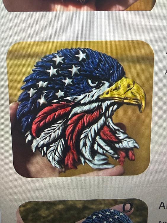 American Eagle Face 3D