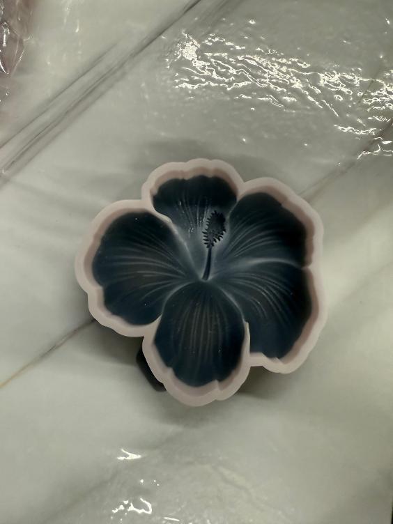 Hibiscus 3D