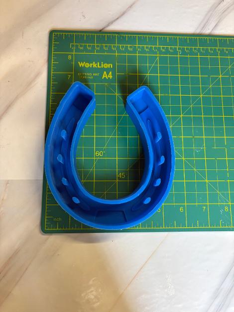 Horseshoe (47)