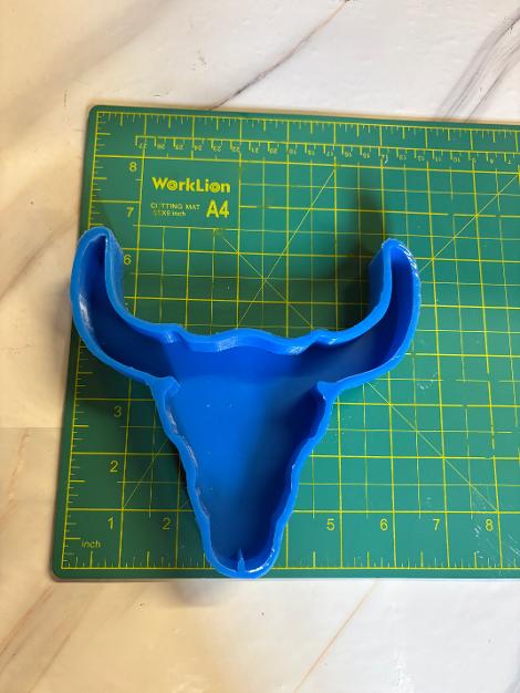 Steer Skull (38)