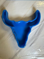 Steer Skull (38)