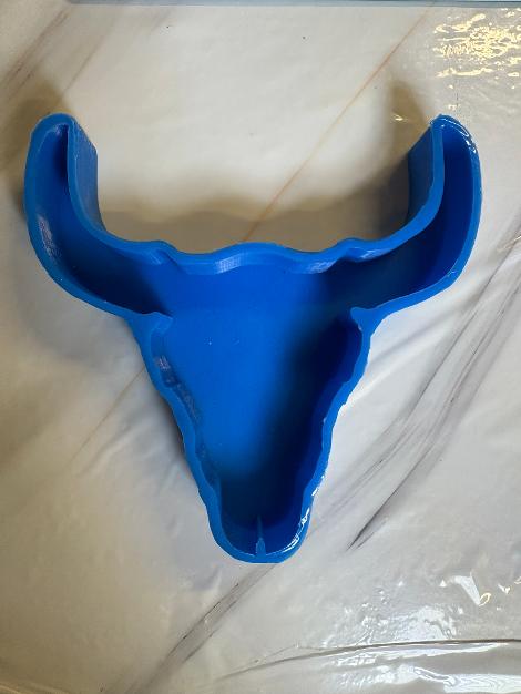 Steer Skull (38)
