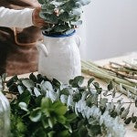 Eucalyptus Fir (SS) 30%