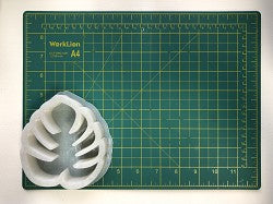 Palm/ Monstera Leaf (135)