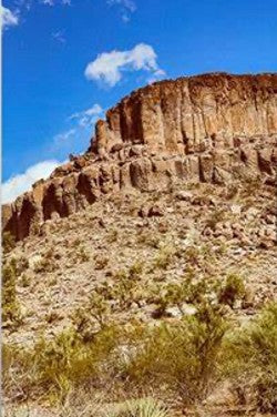 Mojave (Scented Beads) ONLY