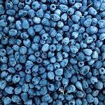 Blueberries (ABOL) (Scented Beads)