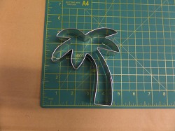 Palm Tree