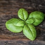 Basil (Scented Beads)