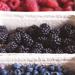 Manilla Berry (Scented Beads)