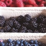 Manilla Berry (SS) 12%