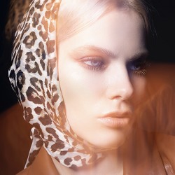 Diva Princess (SS) 1%