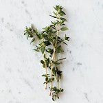 Thyme (SS) 2%