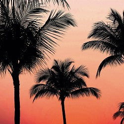 Tropical Leather (SS) 0%