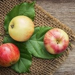 Apple (Scented Beads)