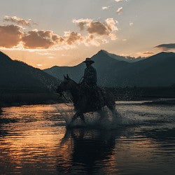 Midnight Cowboy (SS) 0%