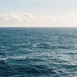 Majestic Seas (SS) 5.69%