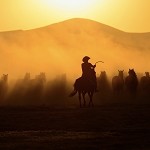 Sun-Drenched Cowboy© (SS) 3%