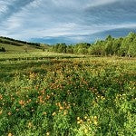 Country Roads (Scented Beads)