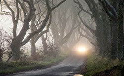 Haunted Woods