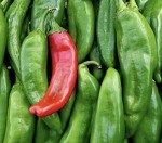 Green Chili (Scented Beads Only)