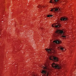 Watermelon Jolly Rancher (SS) 3%