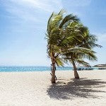 Tropical Wind (SS) 7.6%