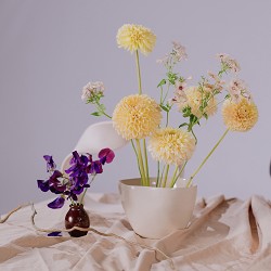 Sweetest Pea (SS) 8%