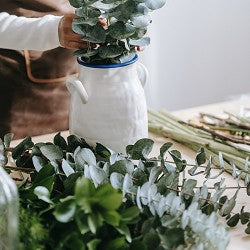 Eucalyptus Fir (SS) 30%