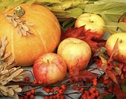 Pumpkin Apple (SCENTED BEADS)