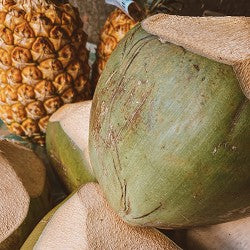 Pineapple Coconut (Scented Beads)